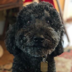 Meet your Posher, Kaylee